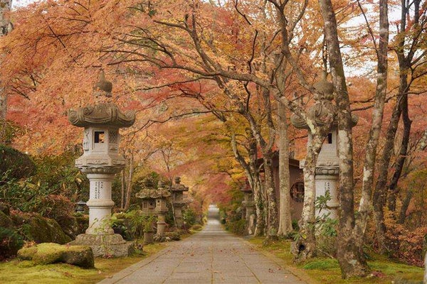 【福島県内発】 ご当地ローカル線!スイートな水郡線の旅~八槻市(やつきいち)と山本不動尊護摩祈祷体験~(日帰り)1